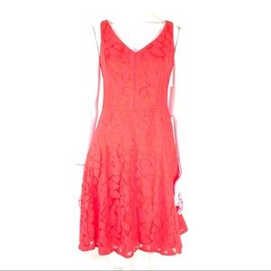 Maggy London Coral Lace Fit & Flare Cocktail Dress